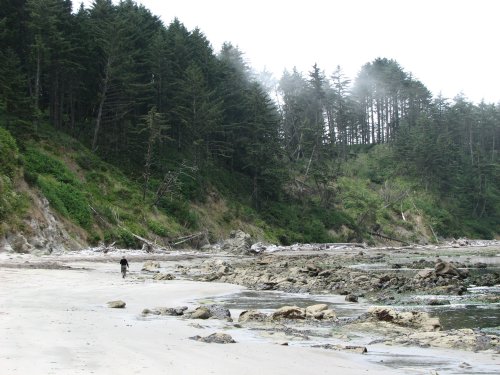 North Cove
